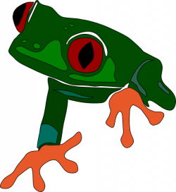 Frog 15 Clip Art at Clker.com - vector clip art online, royalty free ...