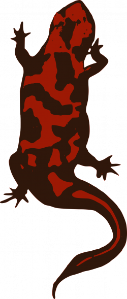 Clipart - Red Lizard