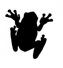 Frog Silhouette Clipart | Free download best Frog Silhouette ...