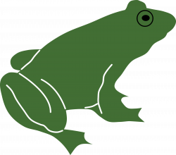 Clipart - Frog by Rones