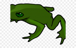 Green Frog Clipart Simple - Frog Clip Art - Png Download ...