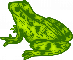 Clipart - Frog 9 (colour)