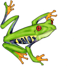 Free Cartoon Tree Frog, Download Free Clip Art, Free Clip ...