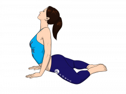 Yoga vector