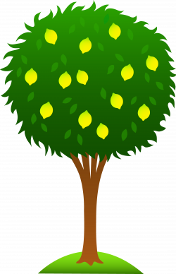 Fruit Tree Clipart | Clipart Panda - Free Clipart Images