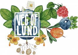 Veg of Lund | The My Foodie Way