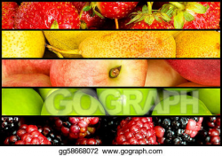 Stock Illustrations - Collage of many fruits and vegetables ...