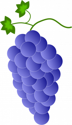 Clipart - Colored Grapes - Violet  Blue