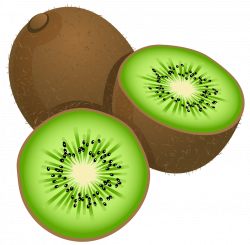 Large Painted Kiwi Frut PNG Clipart | FRUIT AND VEGETABLES CLIP ART ...