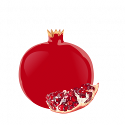Fruit Drawing Clipart Pomegranates, Fruit Logo, Set Clipart ...