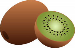 Kiwi Fruit Clipart free image