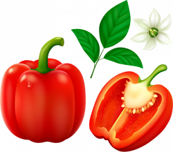 RED PEPPER | Vegetables | Pinterest | Red peppers, Clip art and Food ...