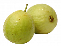 Guava PNG Image - PurePNG | Free transparent CC0 PNG Image Library