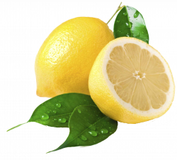 Lemon PNG Image - PurePNG | Free transparent CC0 PNG Image Library