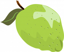 Guava Lime Fruit Clip art - A green lemon 1920*1569 transprent Png ...