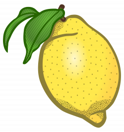 Clipart - lemon - coloured