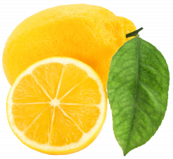 Large Lemon PNG Clipart | Gallery Yopriceville - High-Quality ...