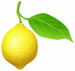 Lemon clipart printable - Pencil and in color lemon clipart printable