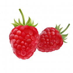 Fruit Drawing Clipart Raspberry, Fruit Logo, Set Clipart, Exquisite ...