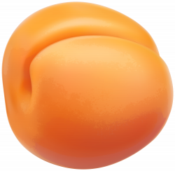 Apricot PNG Clipart - Best WEB Clipart
