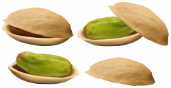Pistachio PNG Clipart Image | Gallery Yopriceville - High-Quality ...