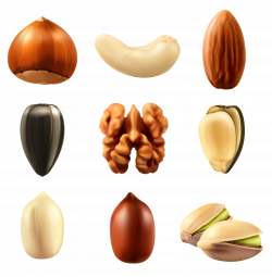 Nuts Collection PNG Clipar Image | Gallery Yopriceville - High ...