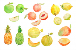 Watercolor Fruit Clipart Set3