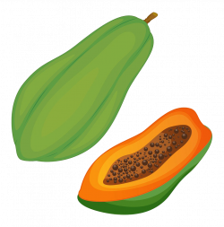 Papaya Pawpaw Clip art - Green papaya 1009*1024 transprent Png Free ...