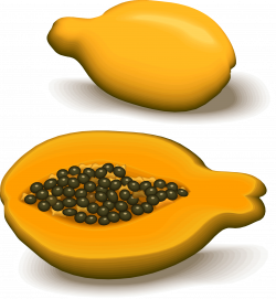 Clipart - papaya