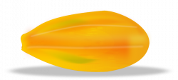 Papaya Clipart (57+)