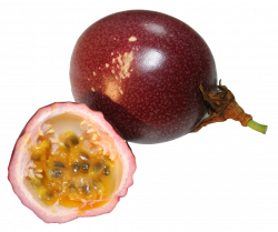 Passion Fruit PNG Image - PurePNG | Free transparent CC0 PNG Image ...
