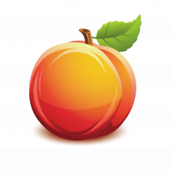 Nectarine Fruit Clip art - Delicious peaches 2917*2917 transprent ...