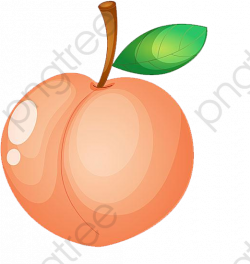 Peach Clipart Fruit - Download Clipart on ClipartWiki