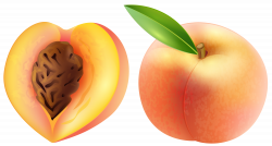 Peach Transparent PNG Clip Art Image | Gallery Yopriceville - High ...