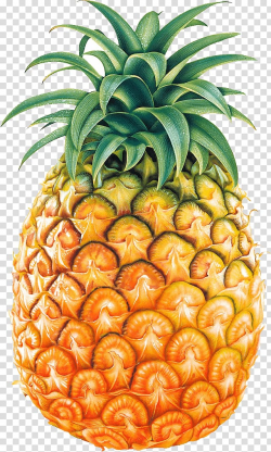 Ripe pineapple art, Pineapple Fruit , Pineapple Fruit ...