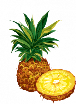 Pineapple Dried fruit Organic food Clip art - pineapple 536*734 ...