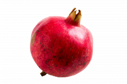 Pomegranate PNG Image - PurePNG | Free transparent CC0 PNG Image Library