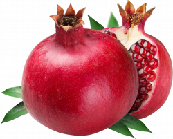Pomegranate PNG images free download