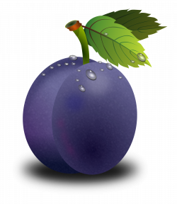 Purple plum 1661x1920 | Clipart Everyday Foods | Plum art ...