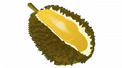 Durian Royalty-free Fruit Clip art - Durian 1280*720 transprent Png ...