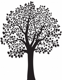 Tree Silhouette PNG Clip Art Image | Gallery Yopriceville - High ...