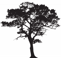 Silhouette Tree PNG Clip Art Image | Gallery Yopriceville - High ...