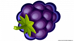 Blueberry Clipart Single