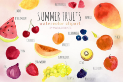 Summer fruit Watercolor Clipart