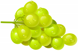 Grapes PNG clipart with transparent background