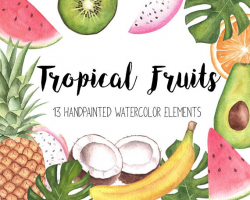 Tropical Clipart,Watercolor Clipart,Tropical Fruits Clipart ...