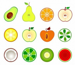 Fruit cut in half Free vector in Adobe Illustrator ai ( .AI ...