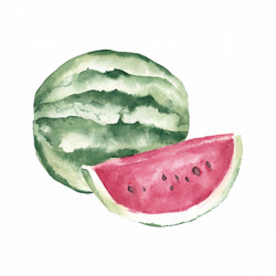 Fruit Auglis Clip art - Hand painted watercolor painting fruit ...