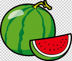 Fruit Watermelon Coloring Book Vegetable PNG, Clipart, Adult ...