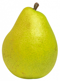 Pear Fruit PNG Clipart - Best WEB Clipart